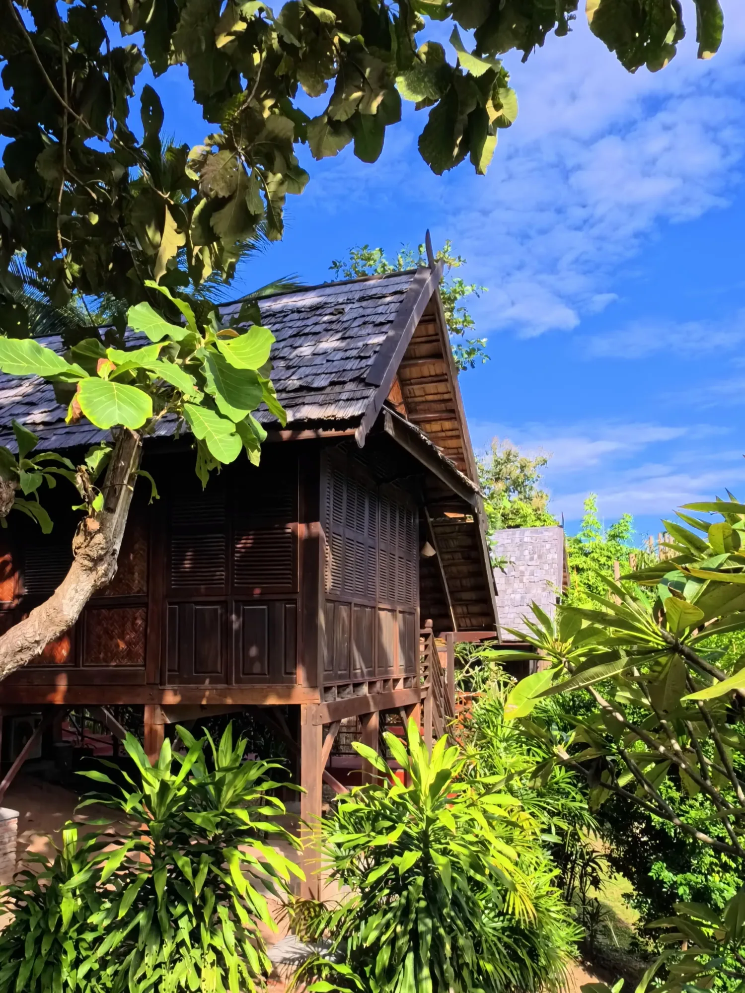 Bungalow en teck et bois de rose sur pilotis, entouré de végétation sous un ciel bleu