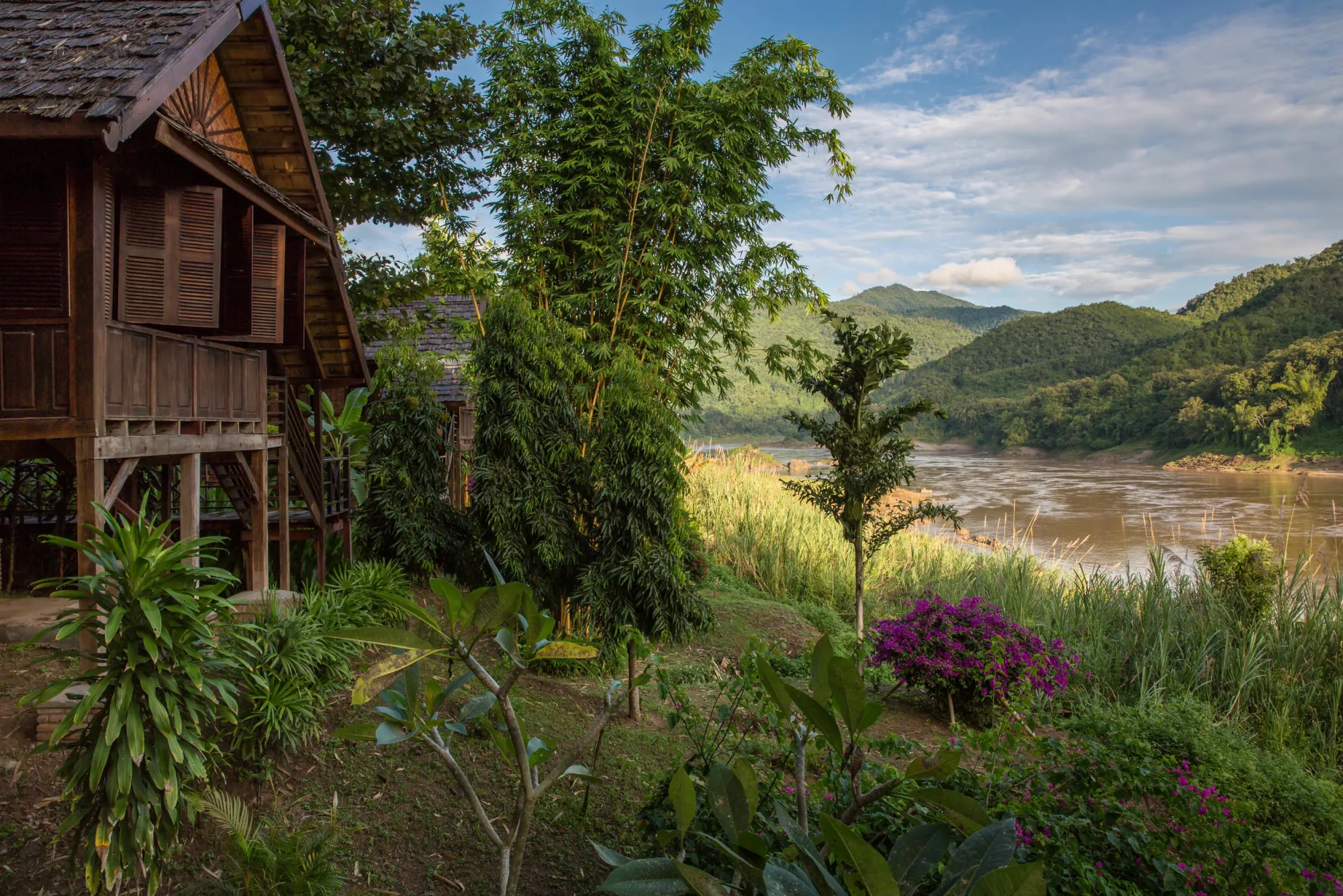 Jardin en bord de fleuve avec bambous et bougainvilliers entre les bungalows et le Mékong