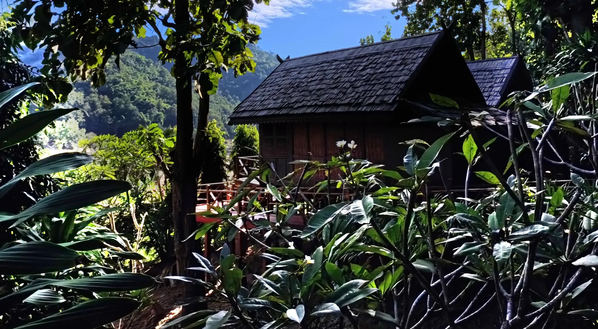 Le toit d'un bungalow laotien traditionnel aperçu à travers un feuillage tropical dense, avec des collines boisées s'élevant derrière le Luang Say Lodge