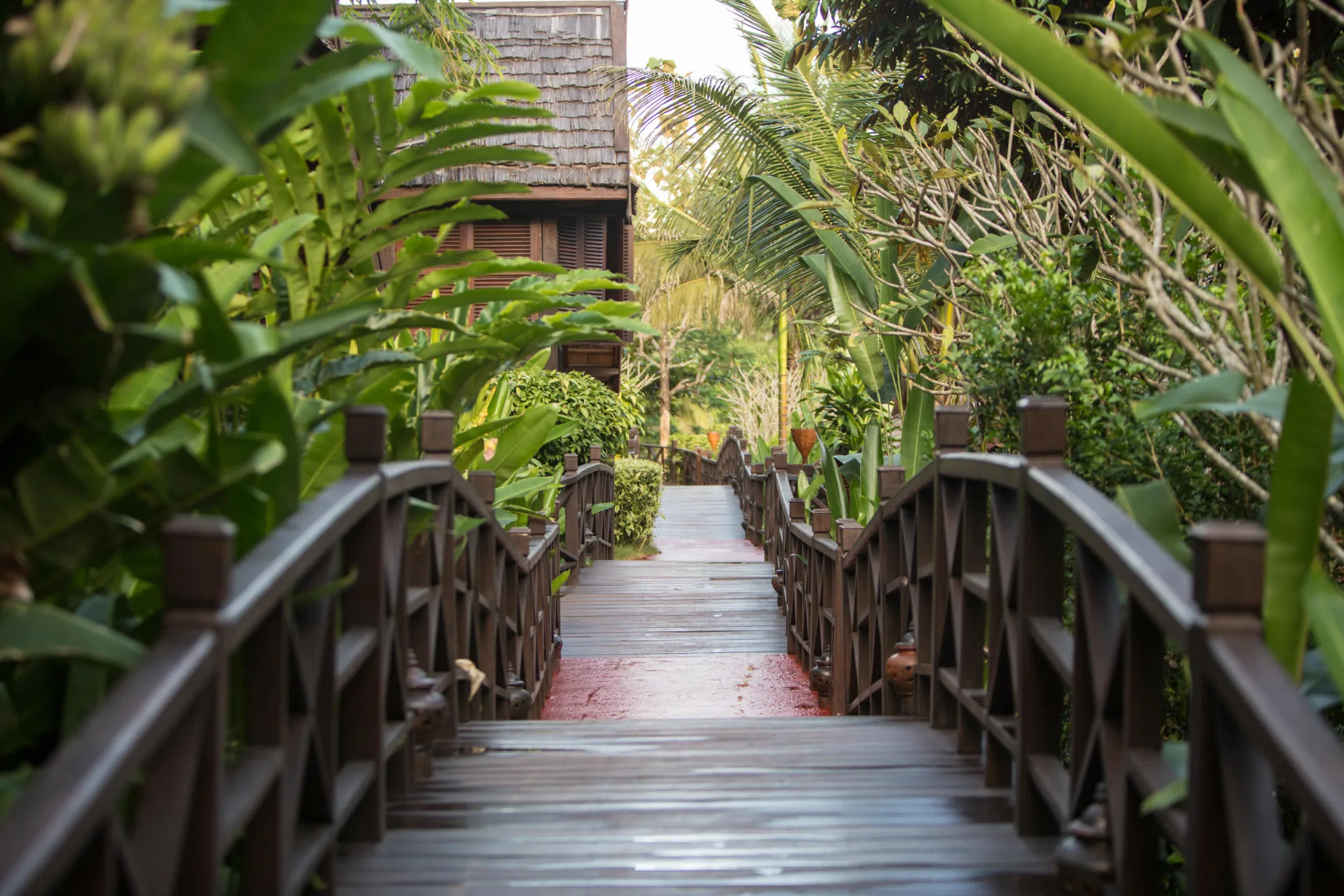 Une passerelle en bois à travers les jardins tropicaux du Luang Say Lodge, menant devant un bungalow vers la rive du fleuve